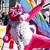 alaskapride.org - pridefest