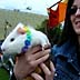 alaskapride.org - pridefest